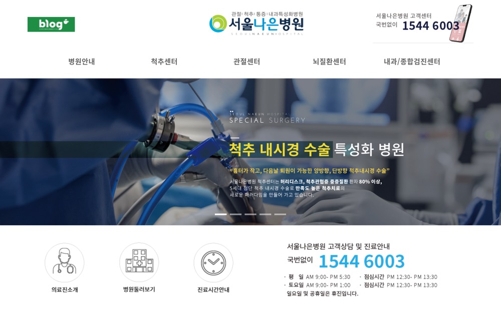 서울나은병원 홈페이지